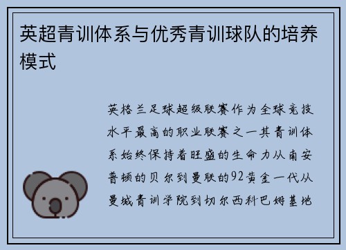 英超青训体系与优秀青训球队的培养模式